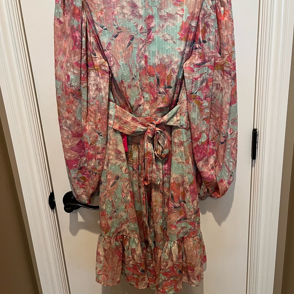 Alex Marie Pink and Green Floral Long Sleeve Dress - Picture 4 of 8
